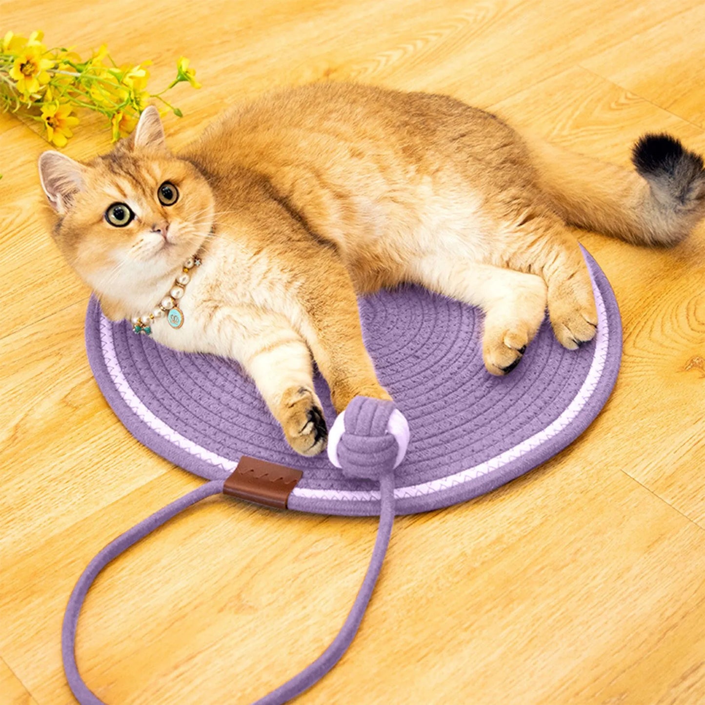 ScratchFun™ Rascador para Gatos