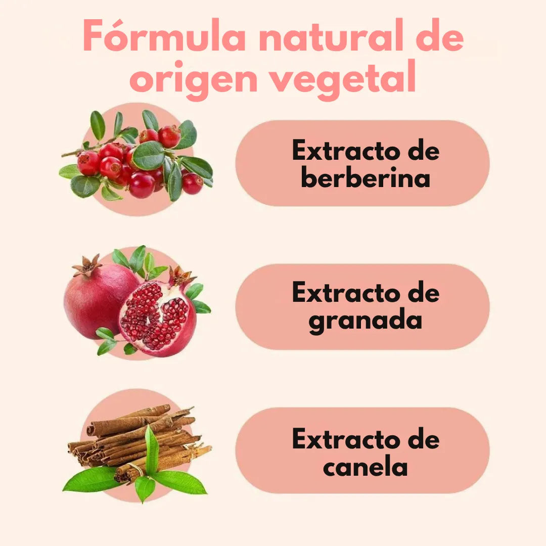 VitalPatch™ Parches de Equilibrio Metabólico (60 Unidades)