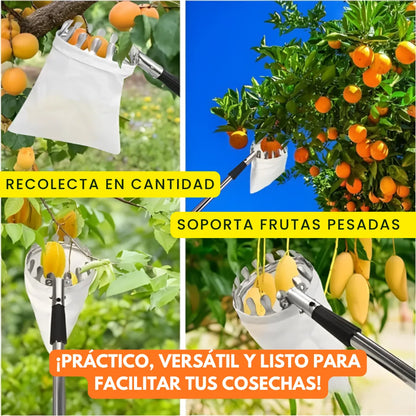 PickFruit™ Herramienta recolectora de frutas